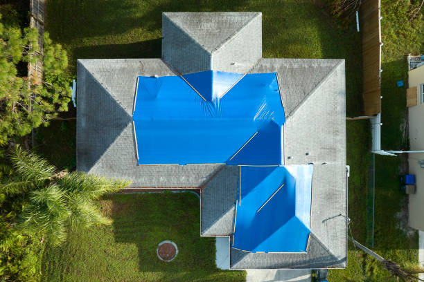 Best Green or Eco-Friendly Roofing Solutions  in Everson, WA