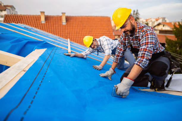 Best Roof Insulation Installation  in Everson, WA