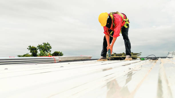 Best Asphalt Shingle Roofing  in Everson, WA