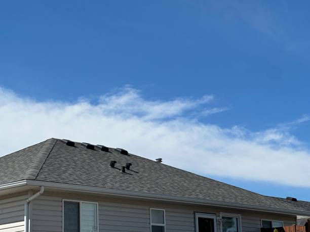 Best 4 Ply Roofing  in Everson, WA